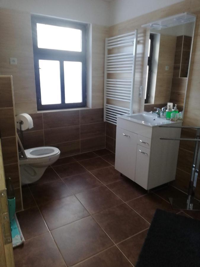 Apartman Petra Kovarska Exterior photo